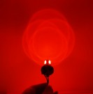 Robust og kraftig rød lyspære BA15S/1156 - Multivolt 10-30v  thumbnail